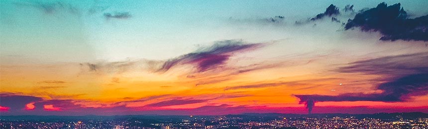 新安茶虫网_新安品茶